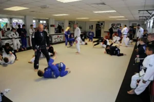 Learning Jiu Jitsu