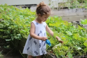 Carbon offsetting techniques