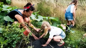 How Carbon Offsetting Boosts Children's Health and Wellness
