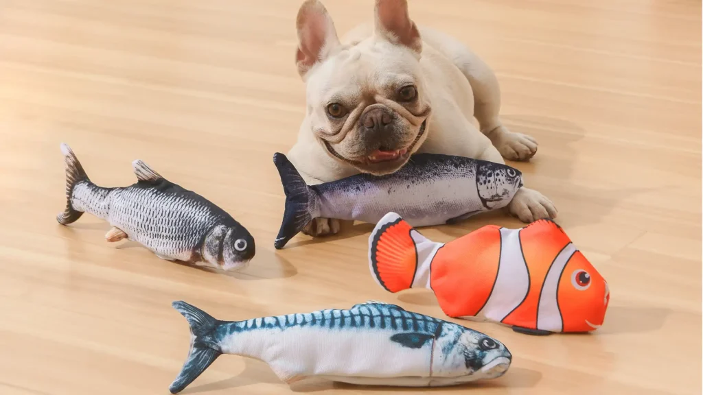 Comfortable Custom Dog Products for Dogs