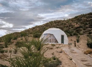 Why Stargazing in Texas Deserts Is the Perfect Family Activity for Quality Time